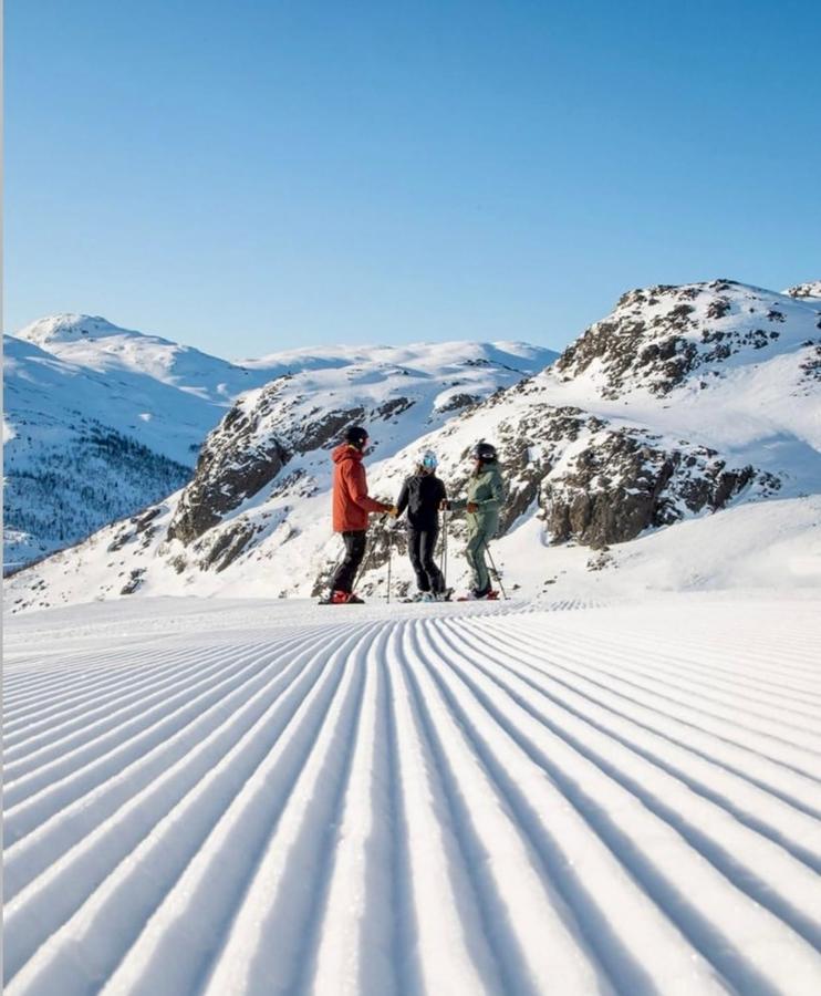 Hyggelig Leilighet I Sentrum Hemsedal Exterior photo