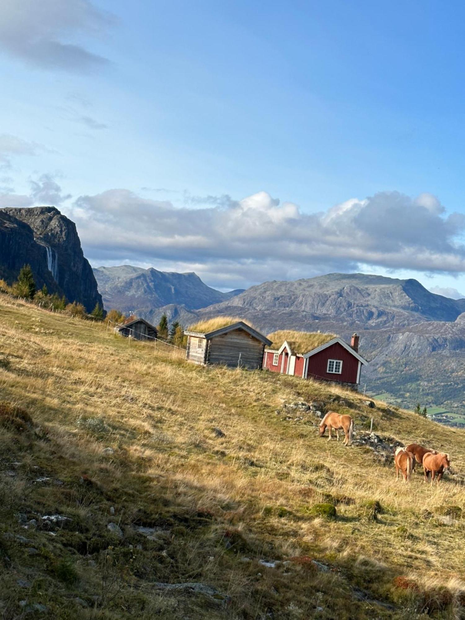 Hyggelig Leilighet I Sentrum Hemsedal Exterior photo